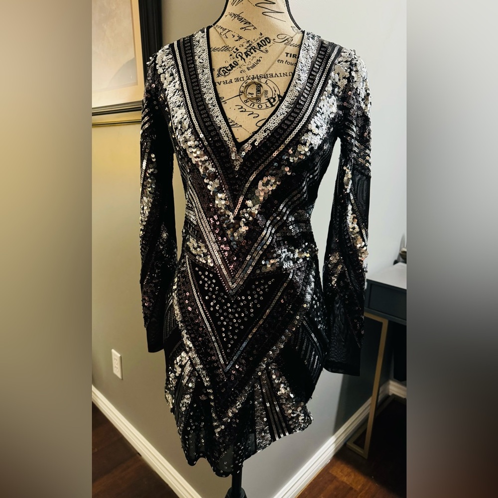 Express Long Sleeve Dress